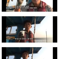 국문학과를 꿈꾸던 선장님