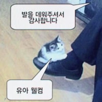 그거 허고싶다 그거