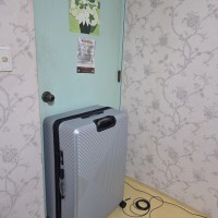 캐리어 크기봐라