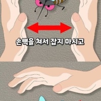 모기 잡는 팁