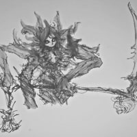 피들 소라카 신스킨