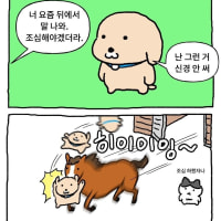 지금까지 작성했던 글 다 지움