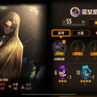 오늘 림버스에서 한것