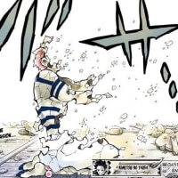 다이아에서 에메로 강등 당함