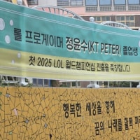 피터 모교 월즈 축하 플랜카드