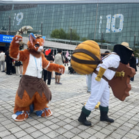 행사장에서 세트랑 신지드 찢고왔다