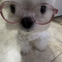 인스타에서 본 멈무이