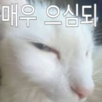 트롤이랑 즐겜 구분 좀 해라