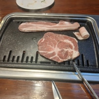 옵붕이 첫 고기 굽기 도전