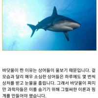 바다가 짠 이유는 너무 뻔해 ㅋ