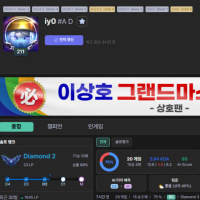 얘네 아무리봐도 대리 부스팅 듀오아니냐?