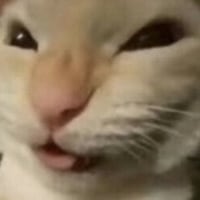 옵지에서 쓸 짤 만드(똥퀄)