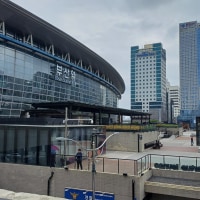 옵붕이 오늘 집왔다