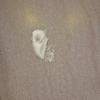 카페알바중인데 이거 마약임??