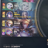 롤 닉네임 버그