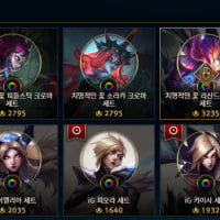ig는 세트로만 파나? 스킨만은 못사나 크로마 개별론데;;