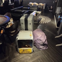 옵붕이 파티룸옴