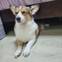 거기서 뭐하니?