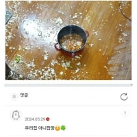 방금 찌개 엎었는데 원영적 사고 부탁해