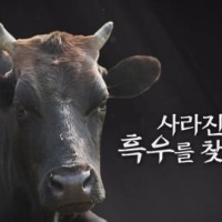 추석연휴때랑 내일이랑  주말에 일하는 흑우없지?