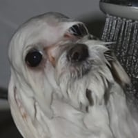 비 맞는 게 너무 좋음