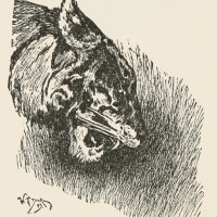 사실 ㅈ밥이였던 빌런 캐릭터