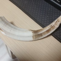 우리집에 있는거 자랑한다