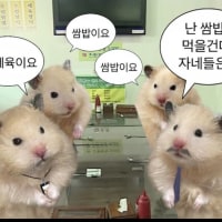 자기주장이 강한 신입MZ