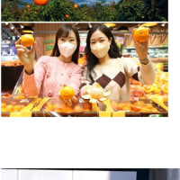 제주도 전체 수출품목 1위 ㄷㄷㄷ