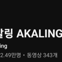 아칼리 초보 해보면서 느낀점