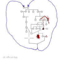 이거 뭔지 해석 좀 해주실 분