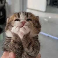 심심할땐 앞머리 자르기