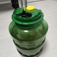 미드 발효 시작