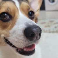 이 짤들 닮았지 않냐