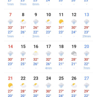 두달내내 구름 ㅆㅈㄷ네