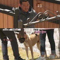 개물림 사고의 주요 원인.jpg