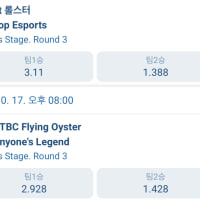 스위스 스테이지 배당률