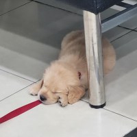 심장병 걸린 줄 알았다