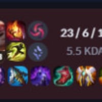 스킨 산거 아깝지만 더이상 롤 못하겠음