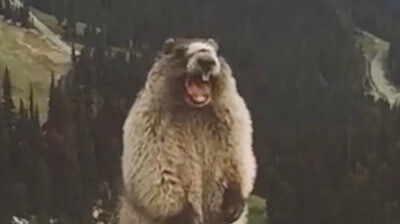 20251018070514.0.2617537.jpg?image=w_700,c_limit,fl_lossy