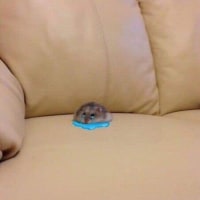 3시간 빡세게 달리면 생기는 일