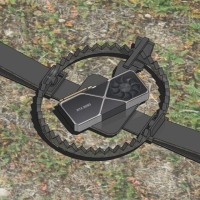 귀여운 옵붕이들 이리와봐