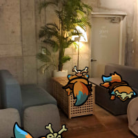 나르는 나른해~