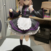 그비돌 사쥬나 차이나복