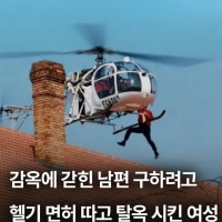 아메리카식 순애