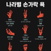 나라별 손가락 욕