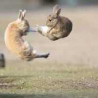 방금 알바끼리 싸우는거 직관하고옴