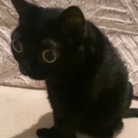 이제 금딸 24일차네....