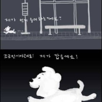 멍멍이가 버려질 때 심리