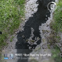 살아서 돌아가야 한다